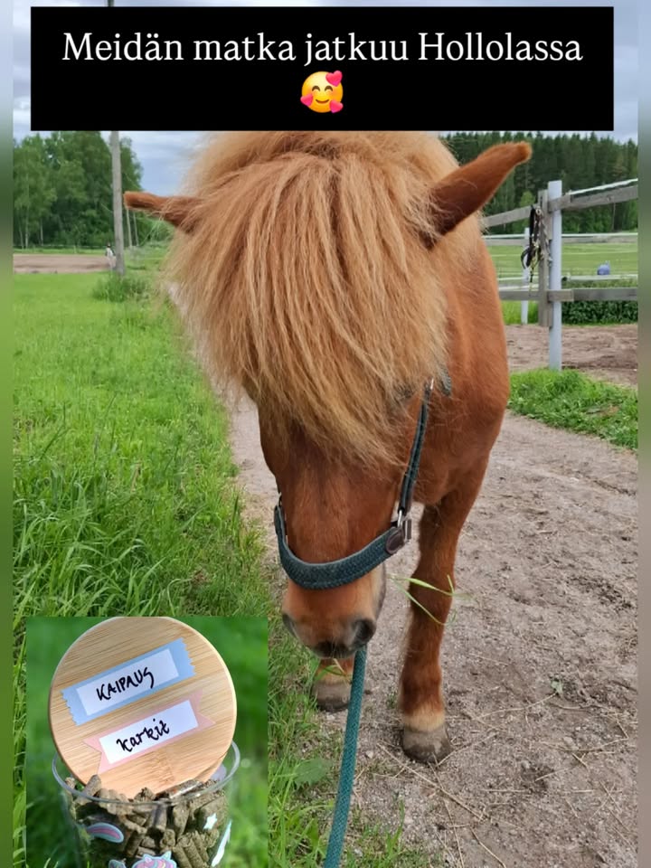Kuva KasvuPaikan Facebook-sivuilta