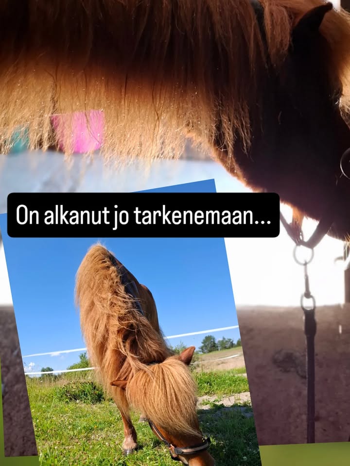 Kuva KasvuPaikan Facebook-sivuilta