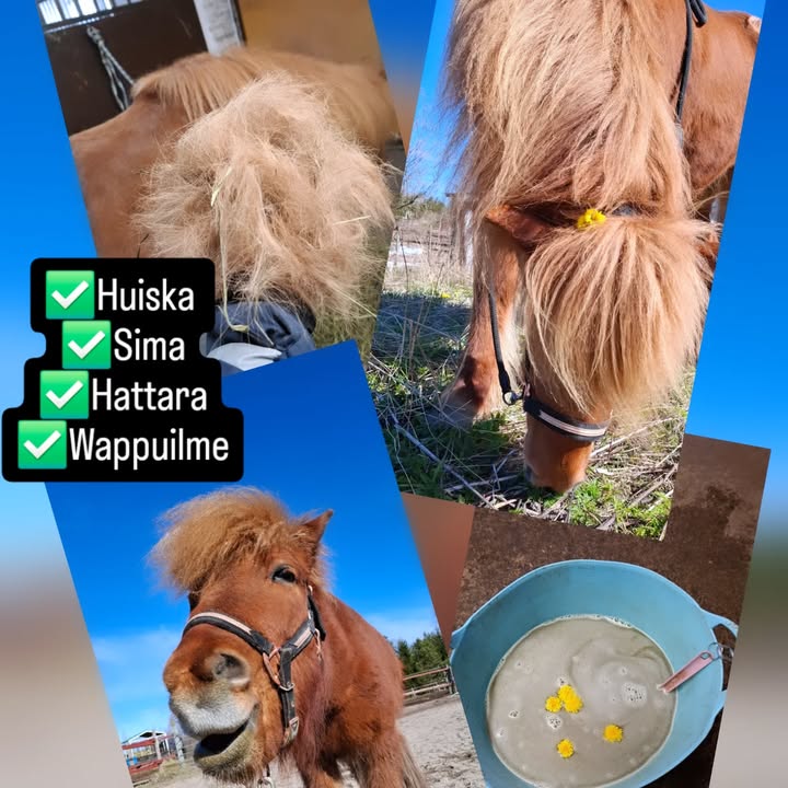 Kuva KasvuPaikan Facebook-sivuilta