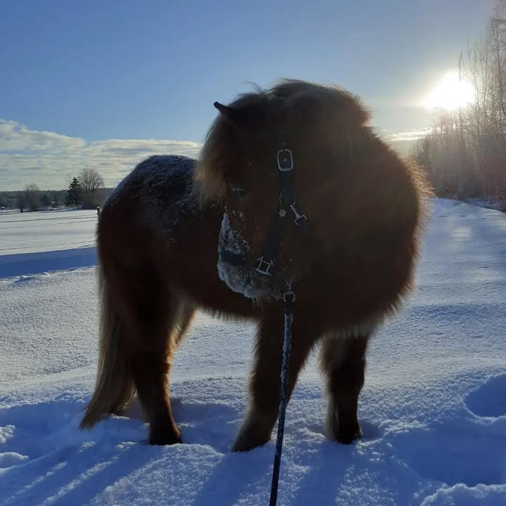 Kuva KasvuPaikan Facebook-sivuilta