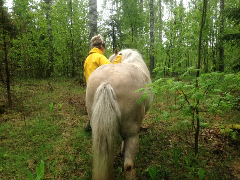 Nuori nainen taluttaa valkoista hevosta sateen jÃ¤lkeisessÃ¤ metsÃ¤ssÃ¤